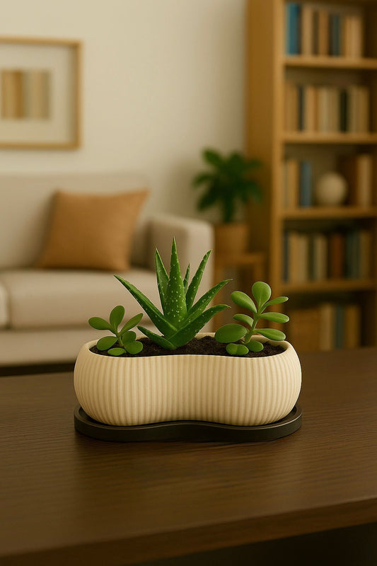 Dekoratif Oval Mini Saksı – 15x8x7 cm | Sert Plastik, Masaüstü Çiçeklik, Sukulent & Bonsai Saksısı