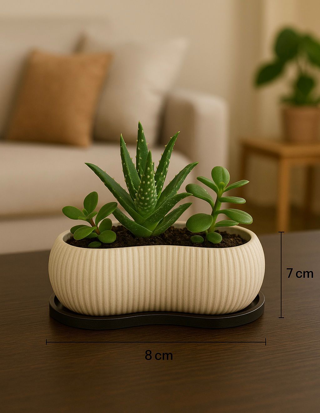 Dekoratif Oval Mini Saksı – 15x8x7 cm | Sert Plastik, Masaüstü Çiçeklik, Sukulent & Bonsai Saksısı
